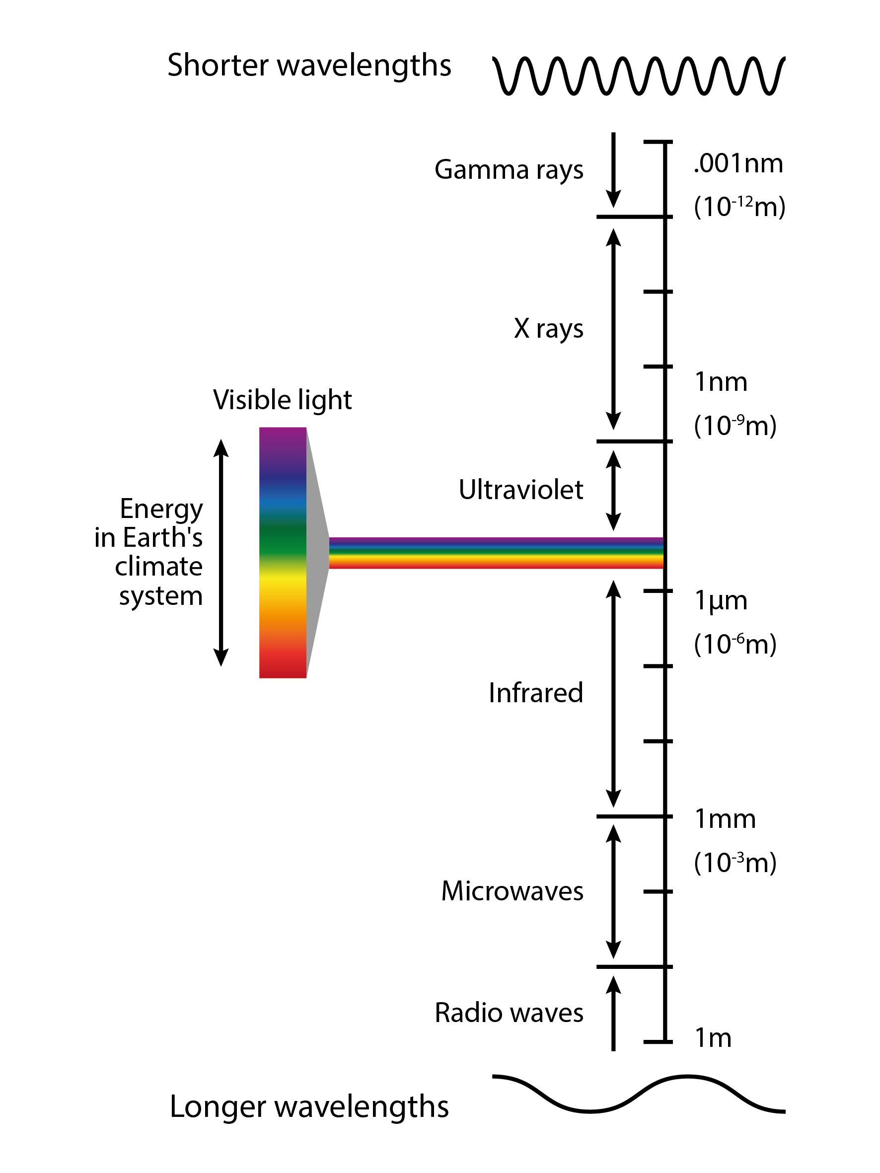 ../../../_images/spectrum_ccby_LisaRauschenbach.jpg